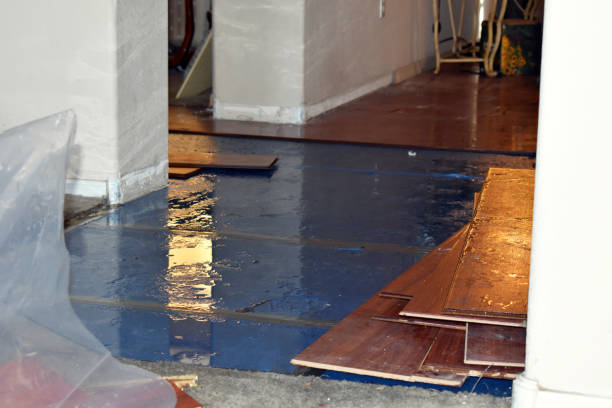 Professional Burst Pipe Cleanup technician working in Winter Harbor, ME
